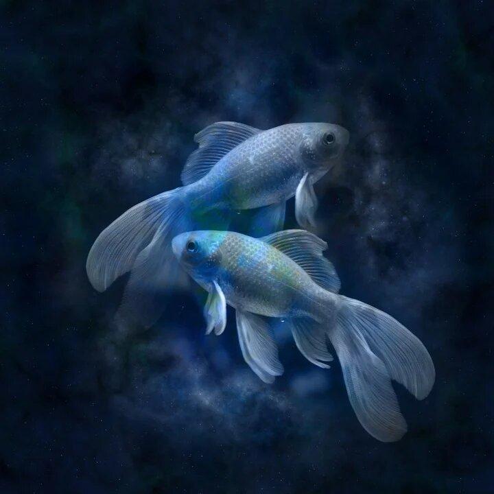 Таро-гороскоп для Риб на серпень / фото pixabay.com