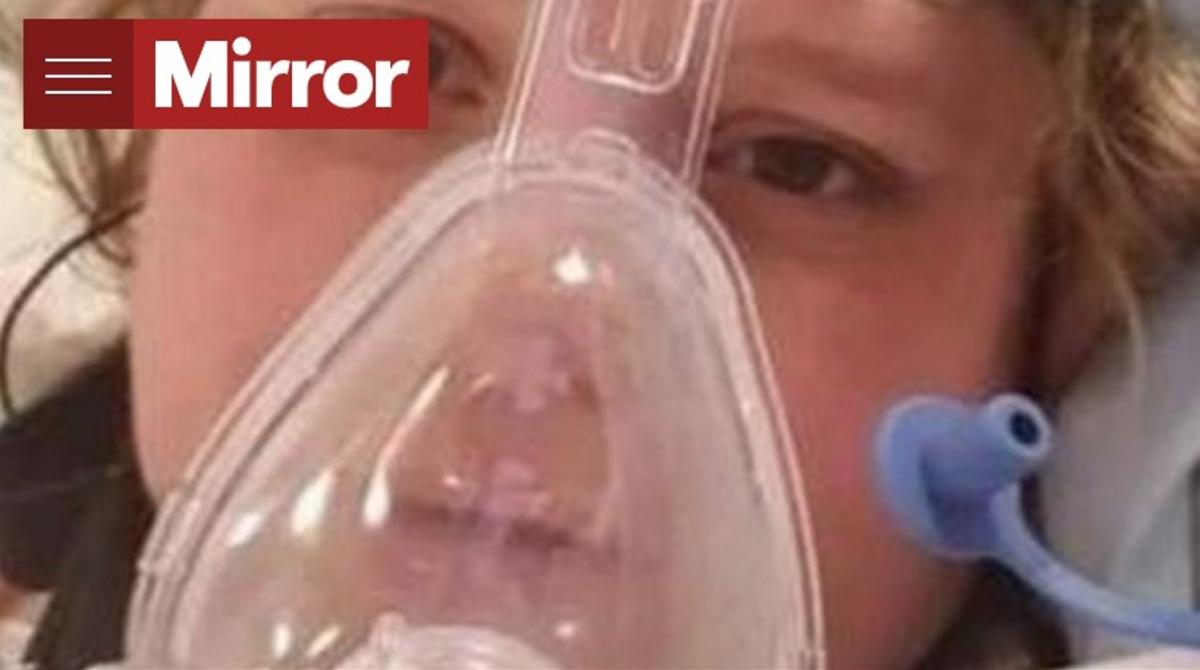 Сім'я Сміт готується до весілля / фото Mirror Сім'я Сміт готується до весілля / фото Mirror