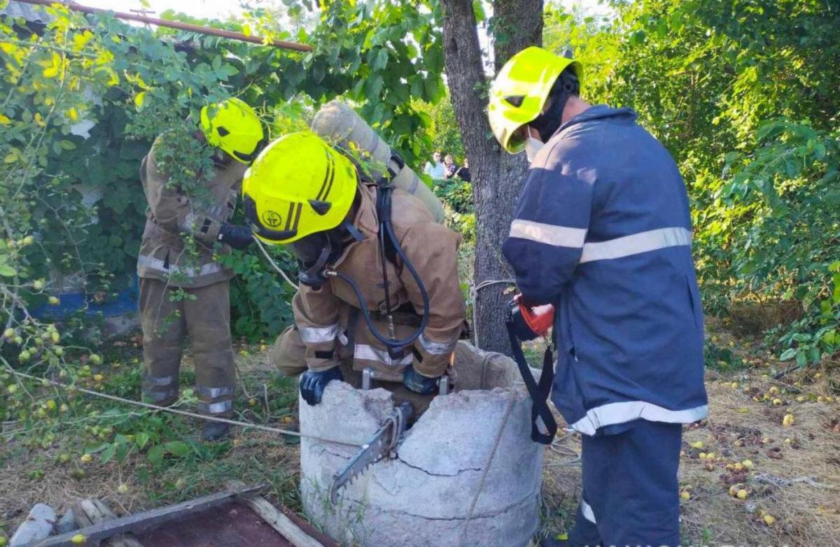 Сын убил мать и сбросил тело в колодец / фото pl.npu.gov.ua