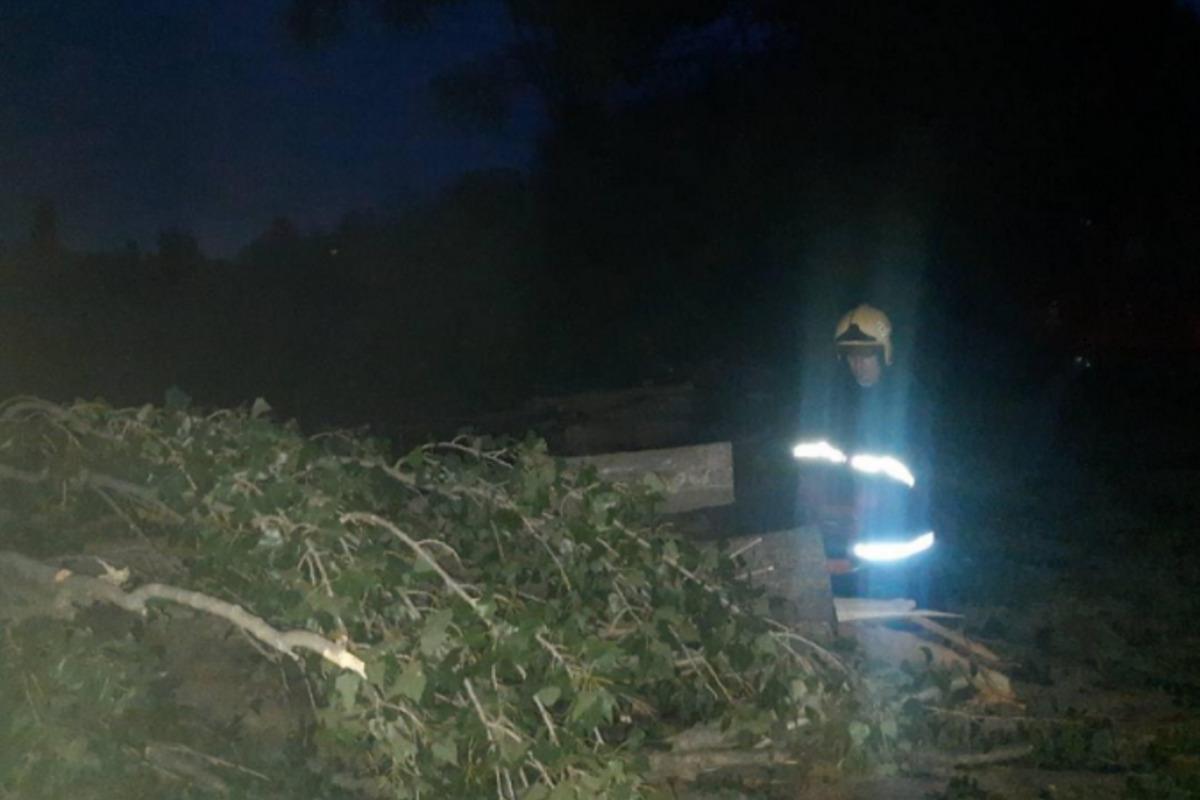 У Вінниці вирувала негода, постраждала жінка / фото vn.dsns.gov.ua У Вінниці вирувала негода, постраждала жінка / фото vn.dsns.gov.ua