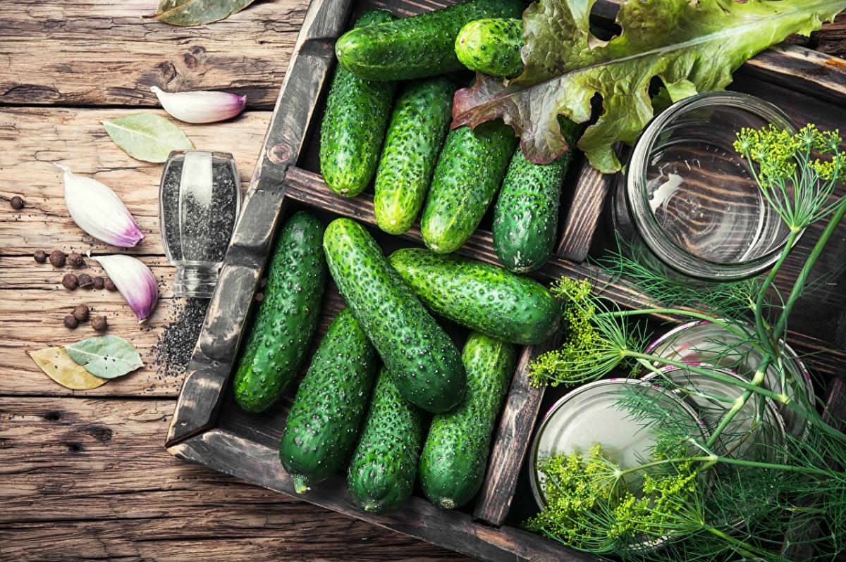 Ukrainian retail chains buy cucumbers in Russia / photo 1zoom.ru
