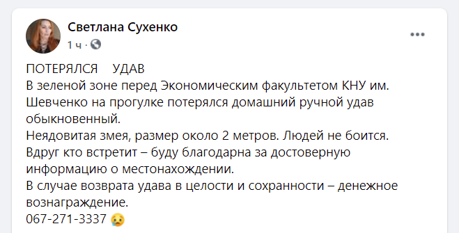 скріншот скріншот