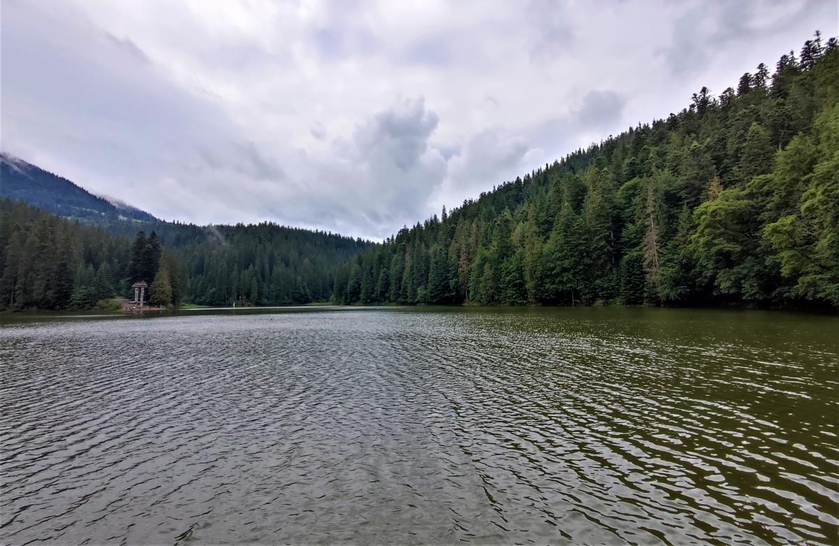 La Persistenza degli Specchi d'Acqua: Un Equilibrio Delicato tra Evaporazione e Rifornimento di Acqua 

Introduzione
Un fenomeno interessante che si verifica negli ambienti acquatici è la persistenza degli specchi d'acqua, come ad esempio i laghi, nonostante l'evaporazione dell'acqua. Questo ha sollevato interrogativi sulla stabilità di questi ecosistemi e sulle ragioni che li mantengono integri.

Approfondimento
Secondo gli studiosi di idrologia, la ragione per cui i laghi non vengono assorbiti nel terreno nonostante l'evaporazione è legata a una serie di fattori. Innanzitutto, l'evaporazione è un processo naturale che si verifica quando l'acqua si trasforma da stato liquido a stato gassoso. Tuttavia, questo processo non è sufficiente a eliminare completamente l'acqua presente in un lago.

Possibili Conseguenze
Se i laghi venissero assorbiti nel terreno, ciò potrebbe avere conseguenze significative sugli ecosistemi acquatici e sulla vita che dipende da questi ambienti. La perdita di acqua potrebbe influire sulla biodiversità, sulla qualità dell'acqua e sulla stabilità degli ecosistemi.

Opinione
Nonostante l'importanza di comprendere i meccanismi che regolano la persistenza dei laghi, non ci sono opinioni univoche sulla questione. Gli studiosi continuano a studiare e a discutere i fattori che influenzano la stabilità di questi ambienti.

Analisi Critica dei Fatti
Un'analisi critica dei fatti rivela che la persistenza dei laghi è il risultato di un equilibrio delicato tra i processi di evaporazione, infiltrazione e rifornimento di acqua. Questo equilibrio è influenzato da fattori come la morphologia del terreno, la geologia e il clima.

Relazioni con altri fatti
I meccanismi che regolano la persistenza dei laghi sono strettamente legati ad altri fenomeni idrologici, come la circolazione dell'acqua sotterranea e la formazione di falde acquifere. La comprensione di questi processi è fondamentale per gestire in modo sostenibile le risorse idriche.

Contesto storico
La questione della persistenza dei laghi ha suscitato l'interesse degli studiosi per secoli. Già nell'antichità, gli scienziati e i filosofi si interrogavano sulla natura e sulle proprietà dell'acqua e sulla sua capacità di persistere negli ambienti naturali.

Fonti
La fonte di questo articolo è RSS Fonte, un sito di notizie e informazioni che fornisce aggiornamenti su argomenti di attualità e di interesse scientifico.