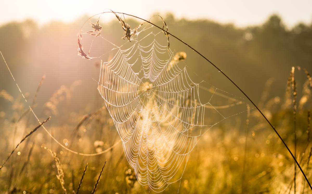 https://images.unian.net/photos/2021_08/1630050166-9217.jpg?r=137106