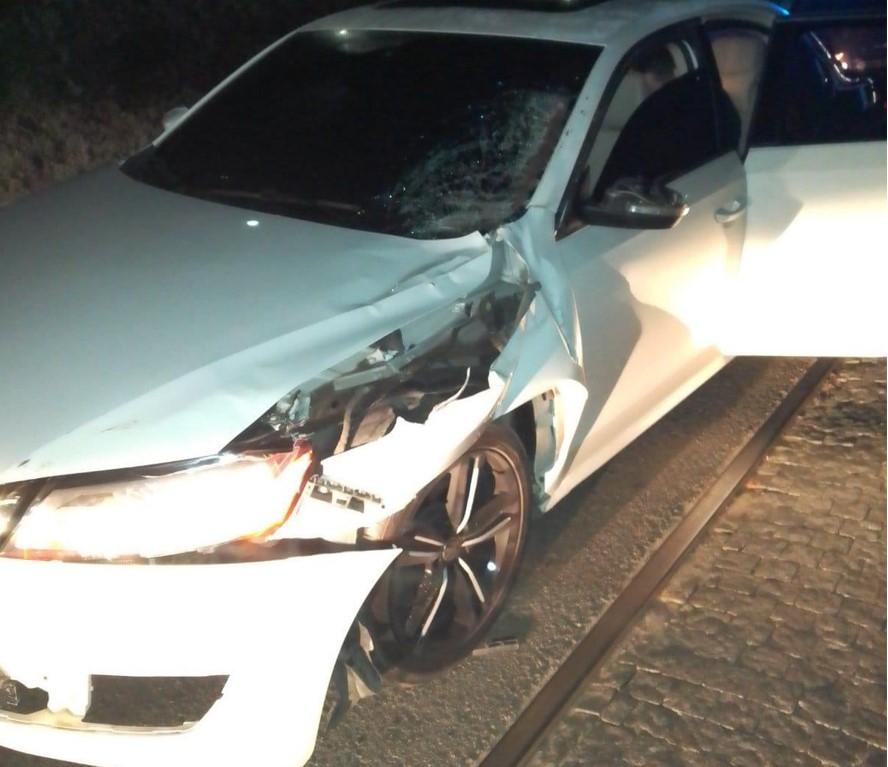 В Харькове конь погиб под колесами авто / пресс-служба полиции Харьковской области В Харькове конь погиб под колесами авто / пресс-служба полиции Харьковской области