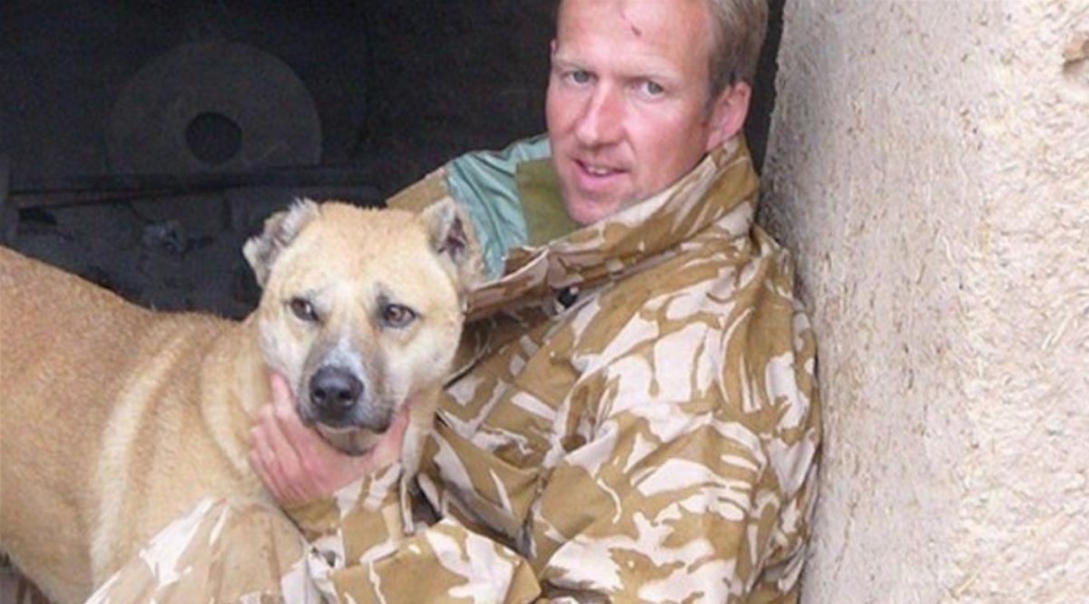 В организации Пола Фартинга было 60 котов и 140 собак / фото NOWZAD В организации Пола Фартинга было 60 котов и 140 собак / фото NOWZAD