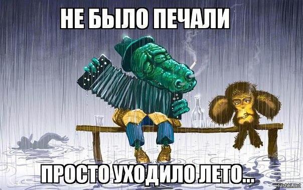 Літо закінчується, але ви не сумуєте / bipbap.ru Літо закінчується, але ви не сумуєте / bipbap.ru