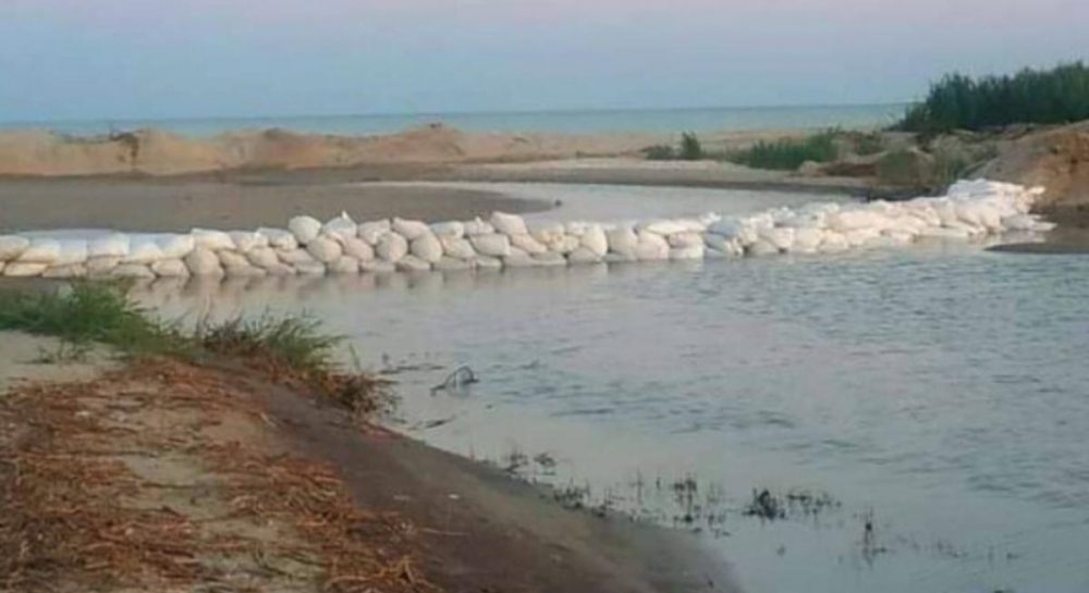 Эколог рассказал, что злоумышленники придумали для вылова рыбы на "Тузловских лиманах" - Vimarsana News