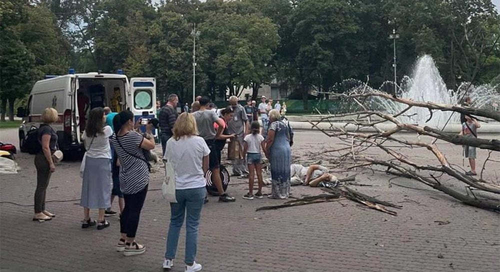 В Днепре упавшее дерево переломало мужчине ноги (фото) - Vimarsana News