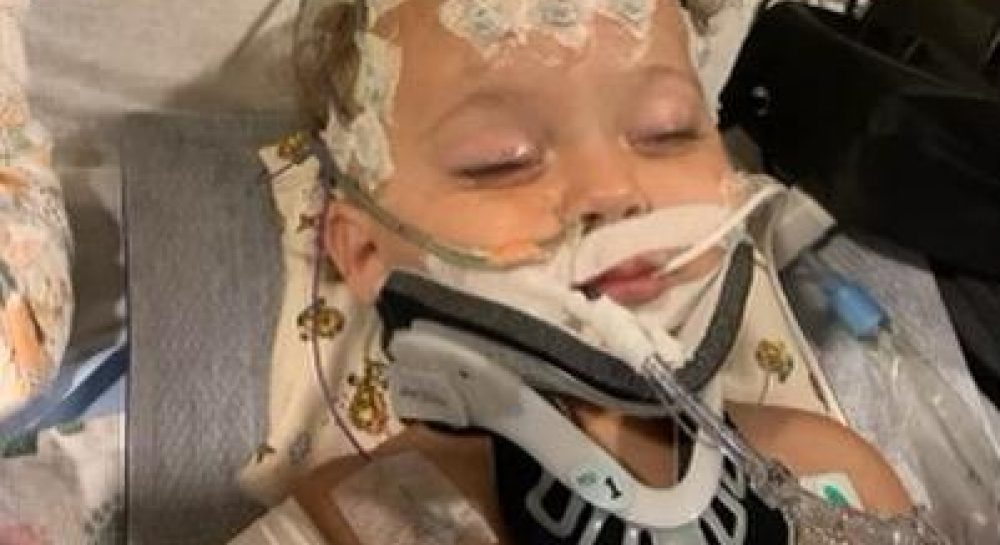 "Нам нужно чудо": Шэрон Стоун рассказала о горе в семье - Vimarsana News