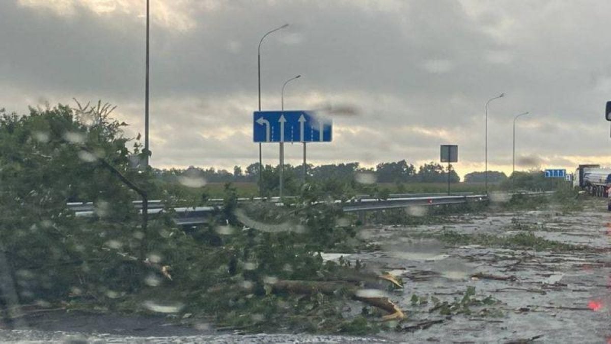 Обесточены города и села, сорваны крыши, повалены деревья: непогода накрыла  часть Украины, объявлено штормовое предупреждение (фото, видео) — УНИАН