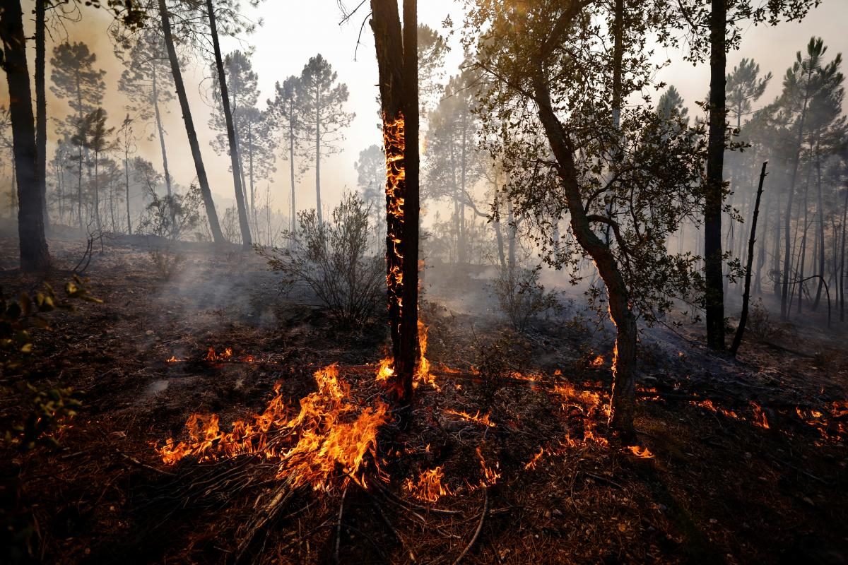 Фото Лесные пожары во Франции 19 августа 2021