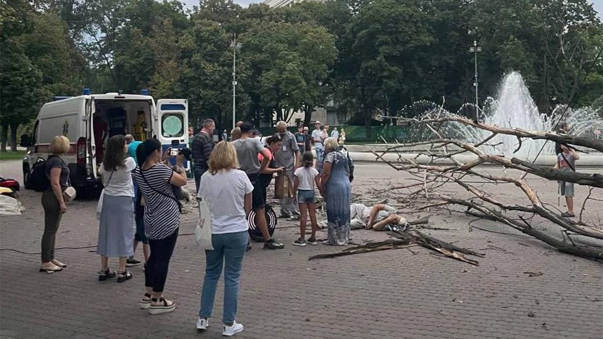 В Днепре упавшее дерево переломало мужчине ноги (фото) — УНИАН