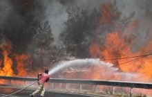 Південну Європу охопили масштабні лісові пожежі, людей евакуюють тисячами (відео)