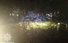 Ураган пронесся по Украине: двое погибших, более полутысячи населенных пунктов - без электричества (фото, видео)