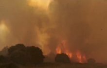 Через лісові пожежі в Італії затримуються поїзди, почалася евакуація (відео)