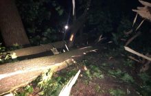 Последнее свидание. Что известно о гибели молодой пары во Львовском парке
