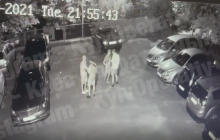 У мережі показали відео п'яної бійки з різаниною в одному з київських дворів