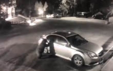 В США дикий медведь забрался в припаркованное авто (видео)