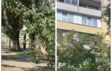В Киеве пенсионерка бросала в играющих под домом детей посуду и утюг - соцсети (видео)