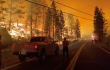 Не видно даже неба: в США бушуют масштабные лесные пожары (фото)