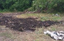 На Тернопольщине нашли останки парня, который пропал 17 лет назад: родные рассказали детали трагедии (фото, видео)