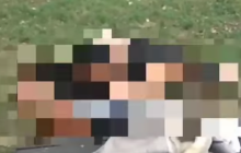 "Горячая пора": в Киеве пара занялась сексом в парке и попала на видео