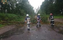 На заході Україні вирувала негода, десятки населених пунктів залишились без електрики (фото)