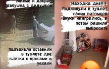 Подбросили в туалет: в Мелитополе пенсионеры оставили своих питомцев на страусиной ферме