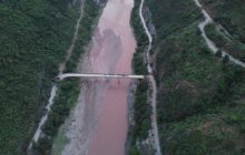 Майже 17 місяців дороги: стадо слонів, яке подорожувало Китаєм, повернуло додому