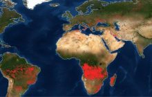 Вогонь палахкотить на п'яти континентах: NASA створило карту пожеж