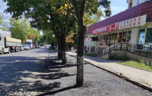 У Миколаєві дорожники закатали в асфальт алею з деревами: в мережі показали фото