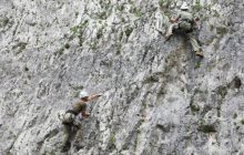 У Грузії українські військові закінчили курси гірської підготовки (фото)