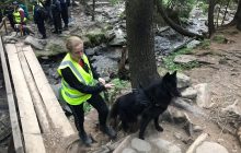 Спасатели рассказали, как идут поиски потерявшегося в Карпатах 6-летнего мальчика (фото, видео)