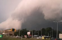 Львівщиною пронісся буревій: повалені десятки дерев, пошкоджені автомобілі та атракціони у парку (фото, відео)