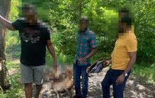 У Львові іноземці зарізали та смажили козу біля цвинтаря (фото)