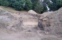 В Коростене случайно нашли кости мамонта – ученые (фото)