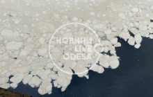 В Одесі море вкрилося дивними білими плямами, на пляжі стоїть сморід (відео)