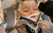 "Нам нужно чудо": Шэрон Стоун рассказала о горе в семье