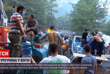 В Туреччині через лісові пожежі вісім людей загинуло, понад вісімсот зазнали травм