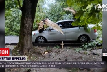 У Львові здійнявся сильний вітер - двоє людей загинули, повалені десятки дерев