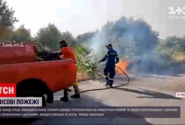 В Греции из-за пожаров эвакуировали пять сел и туристов из нескольких местных пляжей