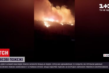 Кількість жертв від масштабних лісових пожеж в Алжирі перевалила за 4 десятки