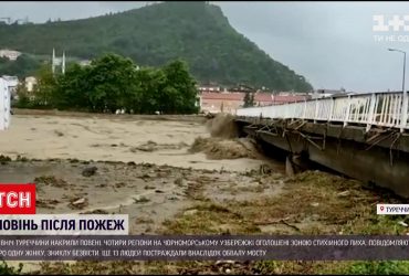 Наводнение после пожара в Турции - 4 региона объявили зоной стихийного бедствия