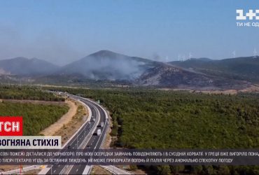 Лесные пожары добрались до Черногории, а в Хорватии фиксируют новые очаги возгораний