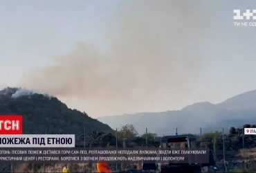 Огонь лесных пожаров добрался до парка возле итальянского вулкана Этны