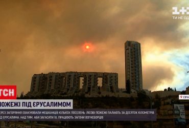Неподалеку Иерусалима горят леса