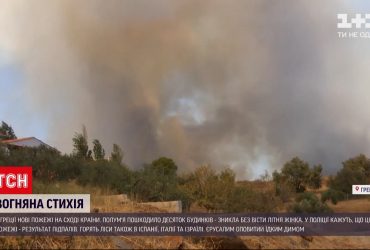 В Греции не отступают лесные пожары - одна женщина считается пропавшей без вести