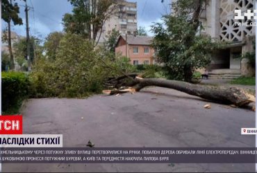 В Виннице сильный ветер повалил деревья от падения вишни пострадала женщина