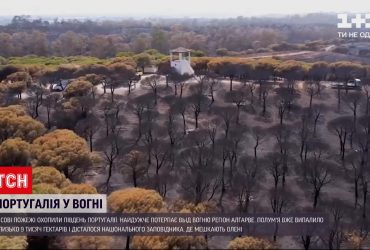 Лісові пожежі охопили південь Португалії - полум'я вже випалило 9 тисяч гектарів